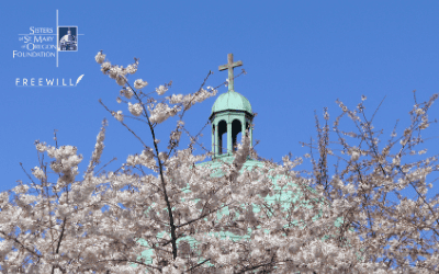 Spring Blessings: Bloom Where You Are Planted